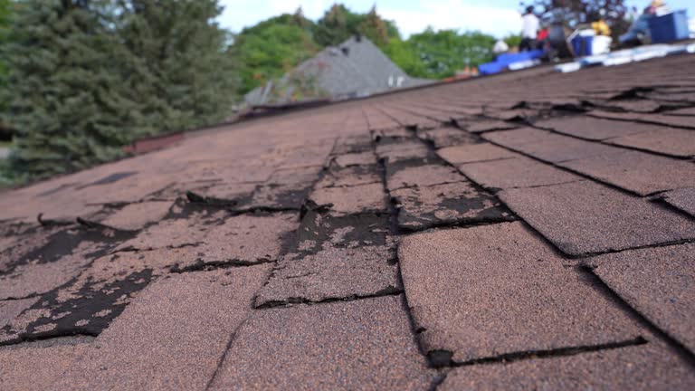 Best Emergency Roof Repair  in Orange, CA